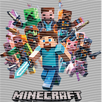 Minecraft-MN 100